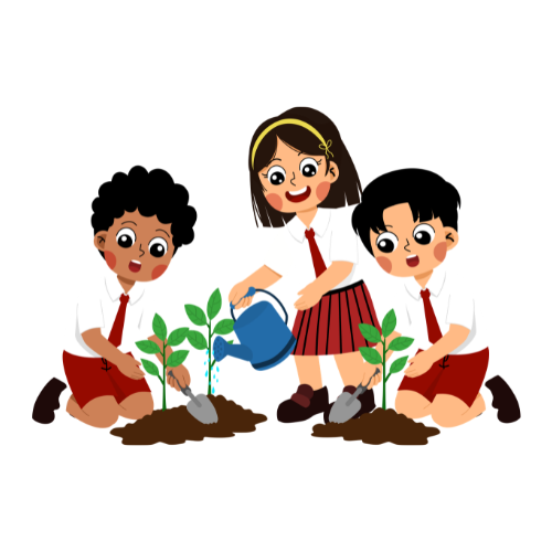 Sustainability
